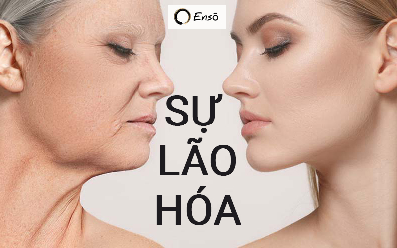 Lão hóa là hiện tượng tự nhiên của con người